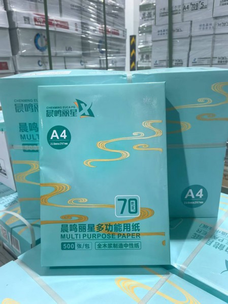 菏澤靜電復(fù)印紙2